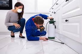 Best Real Estate Pest Inspections  in Fredericktown, MO